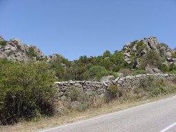 bild 262